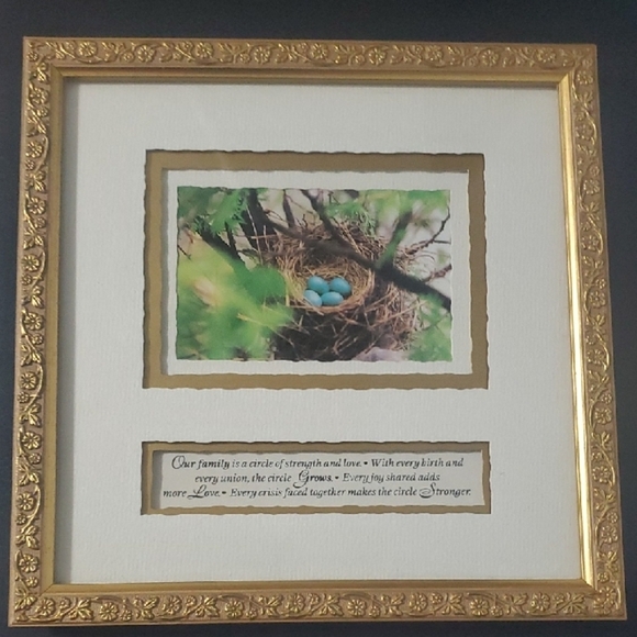 Gold Framed Art Print Nest Eggs Our Family Is A Circle Of Strength And Love - Picture 2 of 5